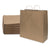 18x7x18.75 Extra Large Brown Paper Bags with Handles