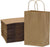 6x3x9 Extra Small Brown Paper Bags with Handles