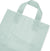 10x5x13 Medium Frosted Mint Plastic Bags with Handles