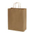 10x5x13 Medium Brown Paper Bags with Handles
