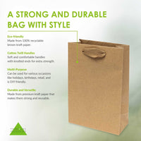 6x3x9 Extra Small Brown Paper Bags with Ribbon Handles