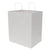 14x10x16.75 White Paper Bags with Handles