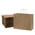 16x6x12 Large Brown Paper Bags with Handles