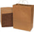 13x7x17 Brown Paper Bags with Handles